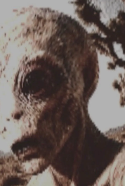 The 2017 4chan Alien Photo